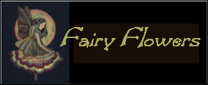 fairy1_hdr.gif (10602 bytes)